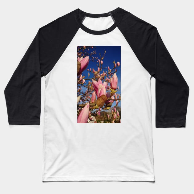 Magnolia blossom Baseball T-Shirt by jomaot